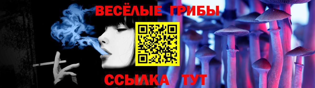 Тельмана  Галлюциногенные грибы GOLDEN TEACHER  Вход с VPN  Галлюциногенные грибы Cubensis 